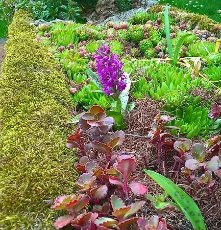 Domek alpejski Pod Drabskymi Svetnickami *