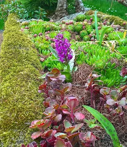 Chalet Pod Drabskymi Svetnickami *